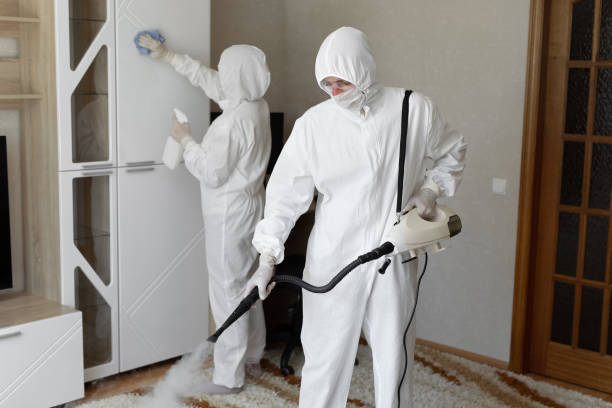 Best Crawl Space Mold Removal  in Round Lake Heights, IL